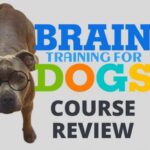 Brain Training for Dogs Review – What Makes This Program Unique?